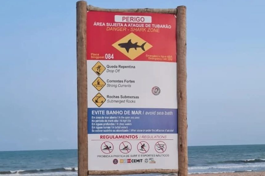 FALLECE ADOLESCENTE TRAS ATAQUE DE TIBURÓN EN PLAYA DE OLINDA, BRASIL