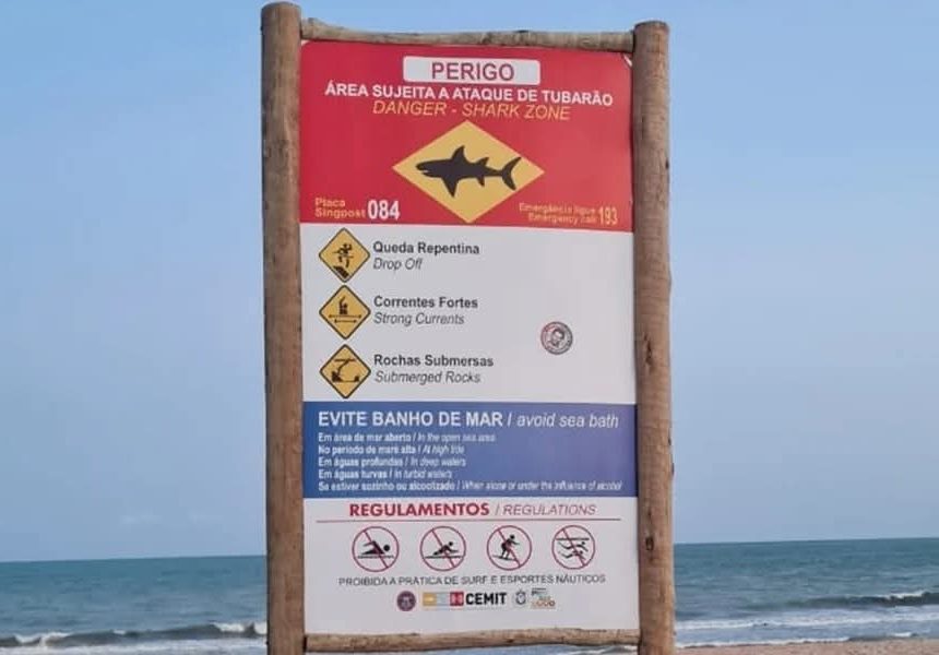 FALLECE ADOLESCENTE TRAS ATAQUE DE TIBURÓN EN PLAYA DE OLINDA, BRASIL