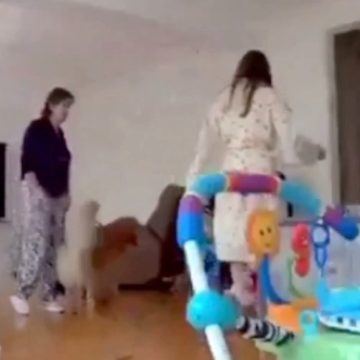 INVESTIGAN HECHO EN CIUDAD DE MÉXICO QUE DEJÓ SIN VIDA A EXREINA DE BELLEZA