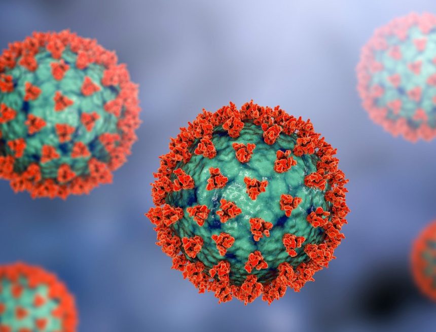 QUÉ ES EL HANTAVIRUS, CUÁLES SON SUS SÍNTOMAS Y QUÉ CONSECUENCIAS PUEDE PROVOCAR