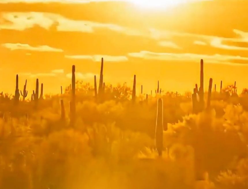 SOL AUTORIDADES EMITEN ALERTA POR INTENSA OLA DE CALOR EN VARIOS ESTADOS DE EE. UU.