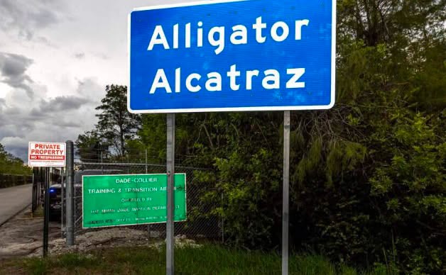 aligator 1 FLORIDA AFIRMA QUE CENTRO DE DETENCIÓN «ALLIGATOR ALCATRAZ» PODRÍA VOLVER A RECIBIR MIGRANTES