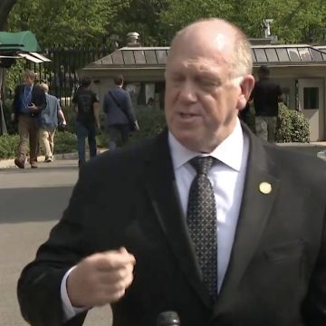 zar ICE AUMENTARÁ SU PRESENCIA EN NUEVA YORK, AFIRMA TOM HOMAN