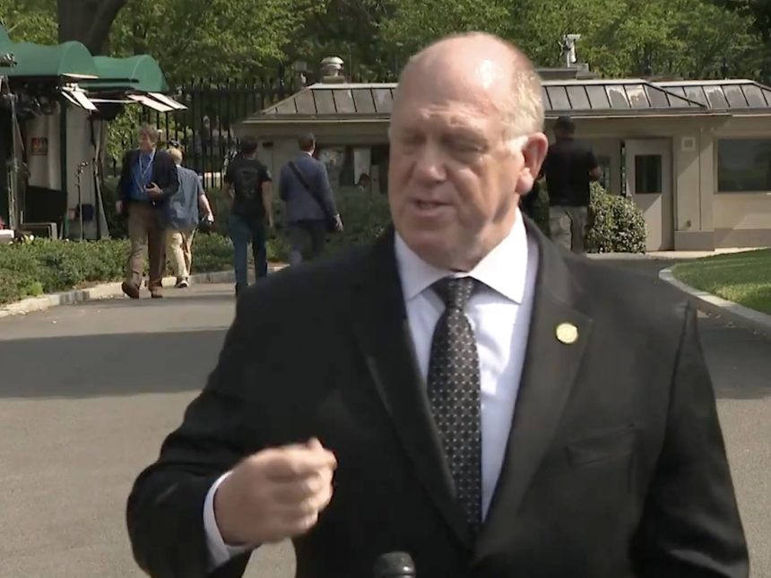 zar ICE AUMENTARÁ SU PRESENCIA EN NUEVA YORK, AFIRMA TOM HOMAN
