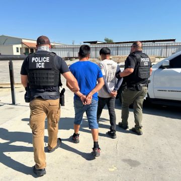 ICE REPORTA 238 DETENCIONES EN UN SOLO DÍA DURANTE OPERATIVO EN EL SUR DE TEXAS